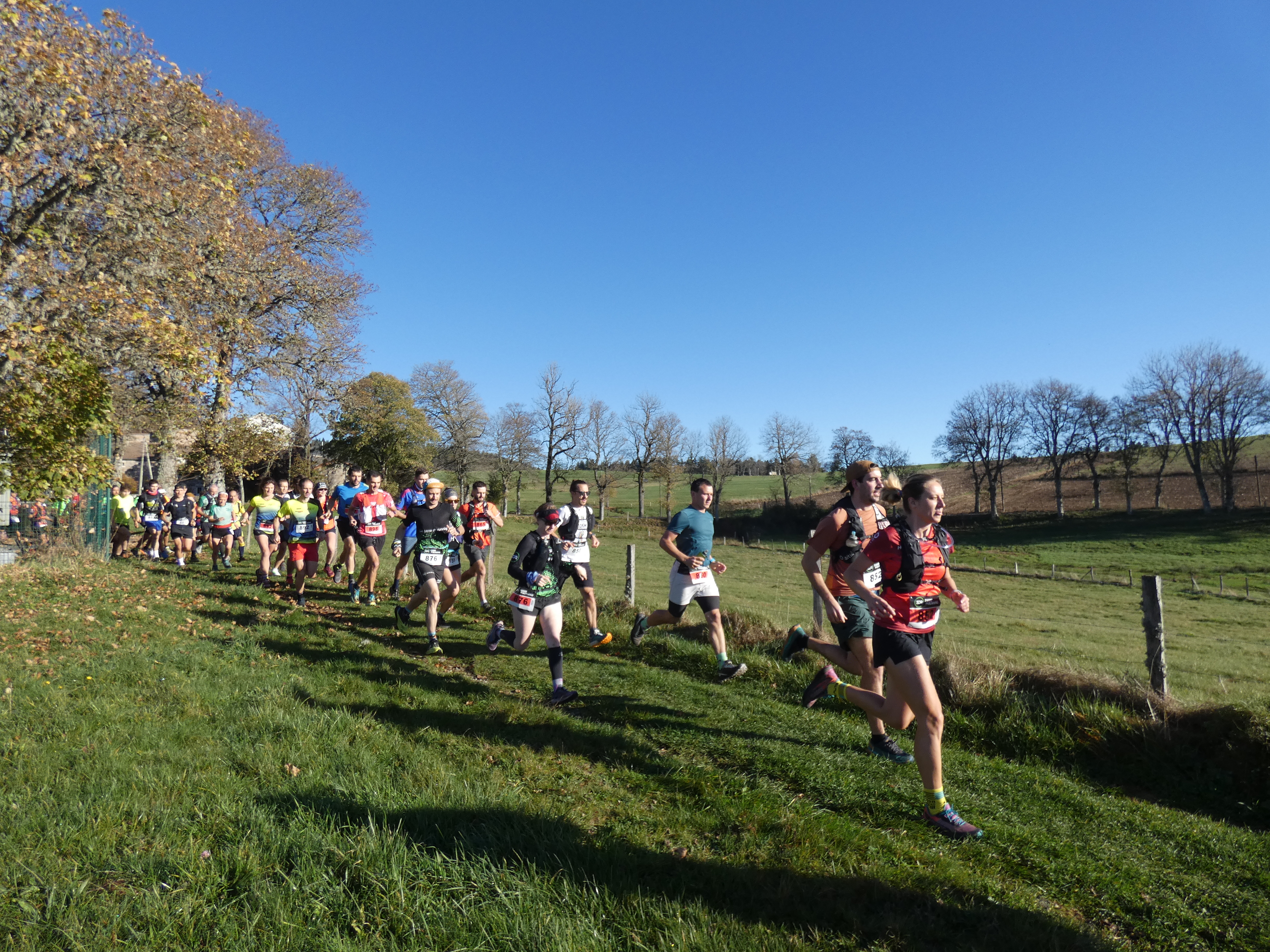 Trail des Champignons - Photo 3