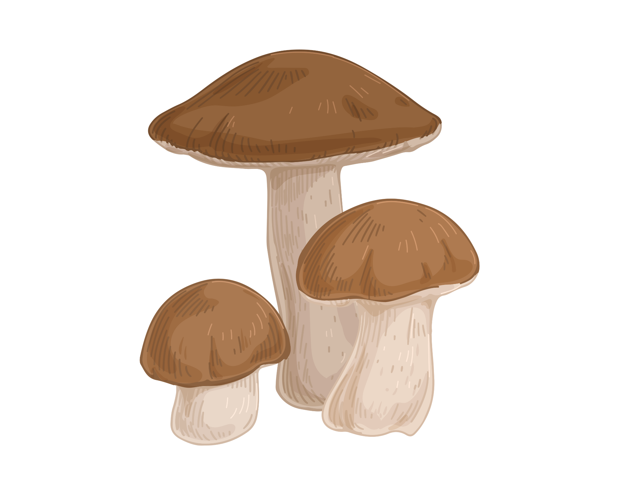 Icône champignon